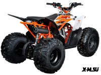 Квадрицикл KAYO AT110 (белый пластик 2024 г.) (ПТС)