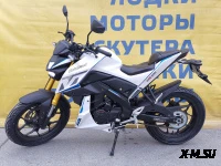 Мотоцикл MOTOLAND (МОТОЛЕНД) 250 MT250 (172FMM-5/PR250)