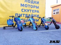Электроскутер Дрифт Карт Drift-Trike Promax Mi101 огонь и лед