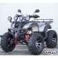 Квадроцикл STALKER 250 Premium