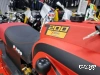 Снегоход IRBIS DINGO T200 25/26