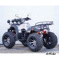 Квадроцикл STALKER 250 Premium