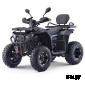 Квадроцикл бензиновый  MOTAX GRIZLIK W200